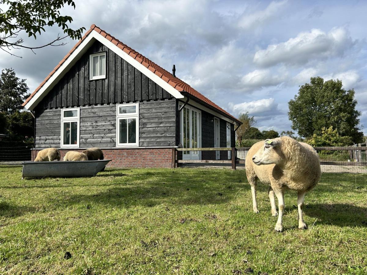 Geldersche Tuin 6 Persoons Villa Emst Eksteriør billede